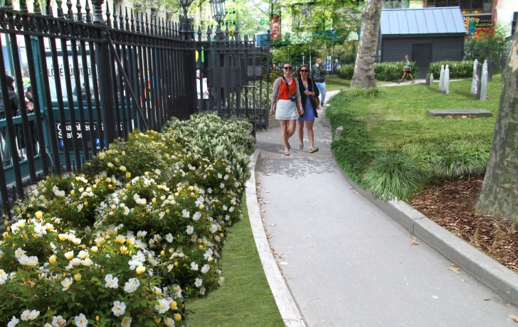 The landscape architects want to treat the western end with rose bushes, and evergreen plantings that will "soften" a wall facing the entrance. Rendering: Mathews Nielsen Landscape Architects The landscape architects want to treat the western end with rose bushes, and evergreen plantings that will "soften" a wall facing the entrance. Rendering: Mathews Nielsen Landscape Architects